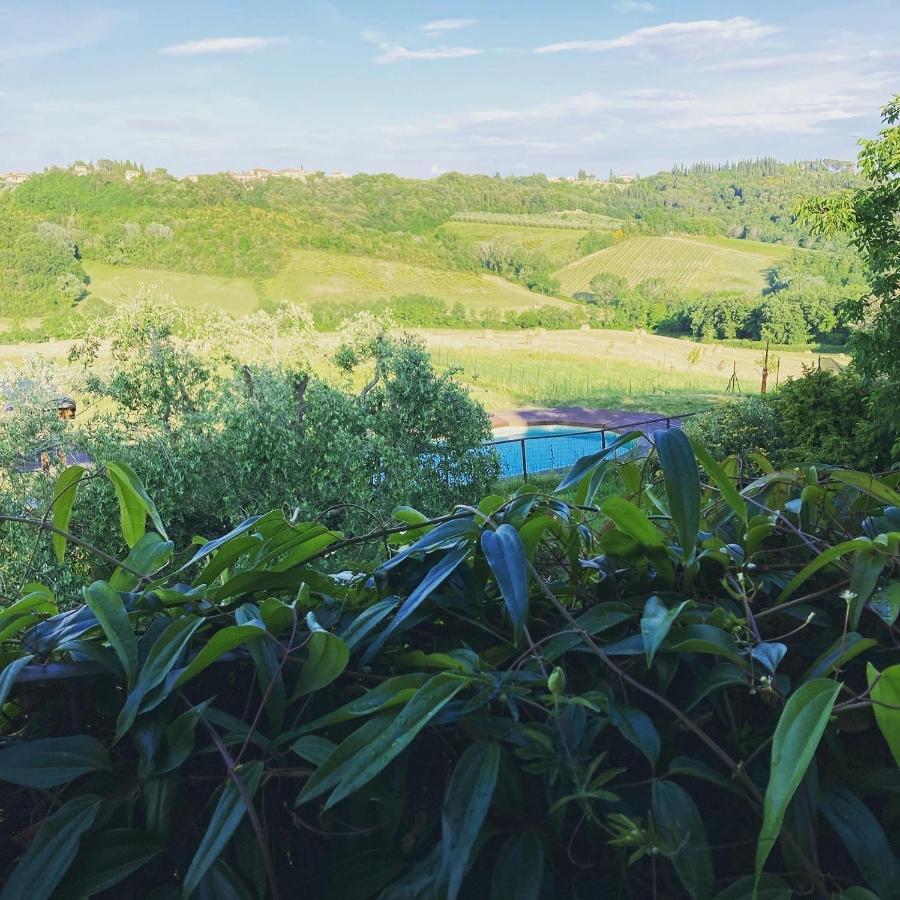 Agriturismo Le Tre Pietre - Podere Nel Chianti Quercegrossa Ngoại thất bức ảnh