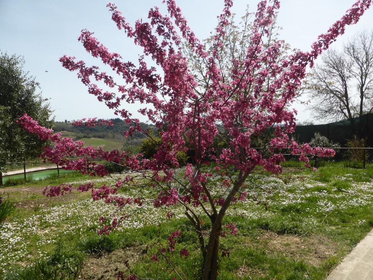 Agriturismo Le Tre Pietre - Podere Nel Chianti Quercegrossa Ngoại thất bức ảnh