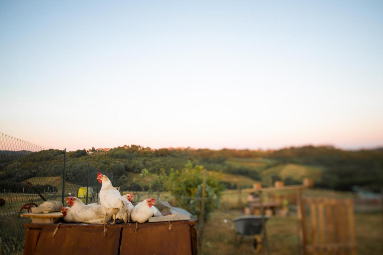 Agriturismo Le Tre Pietre - Podere Nel Chianti Quercegrossa Ngoại thất bức ảnh
