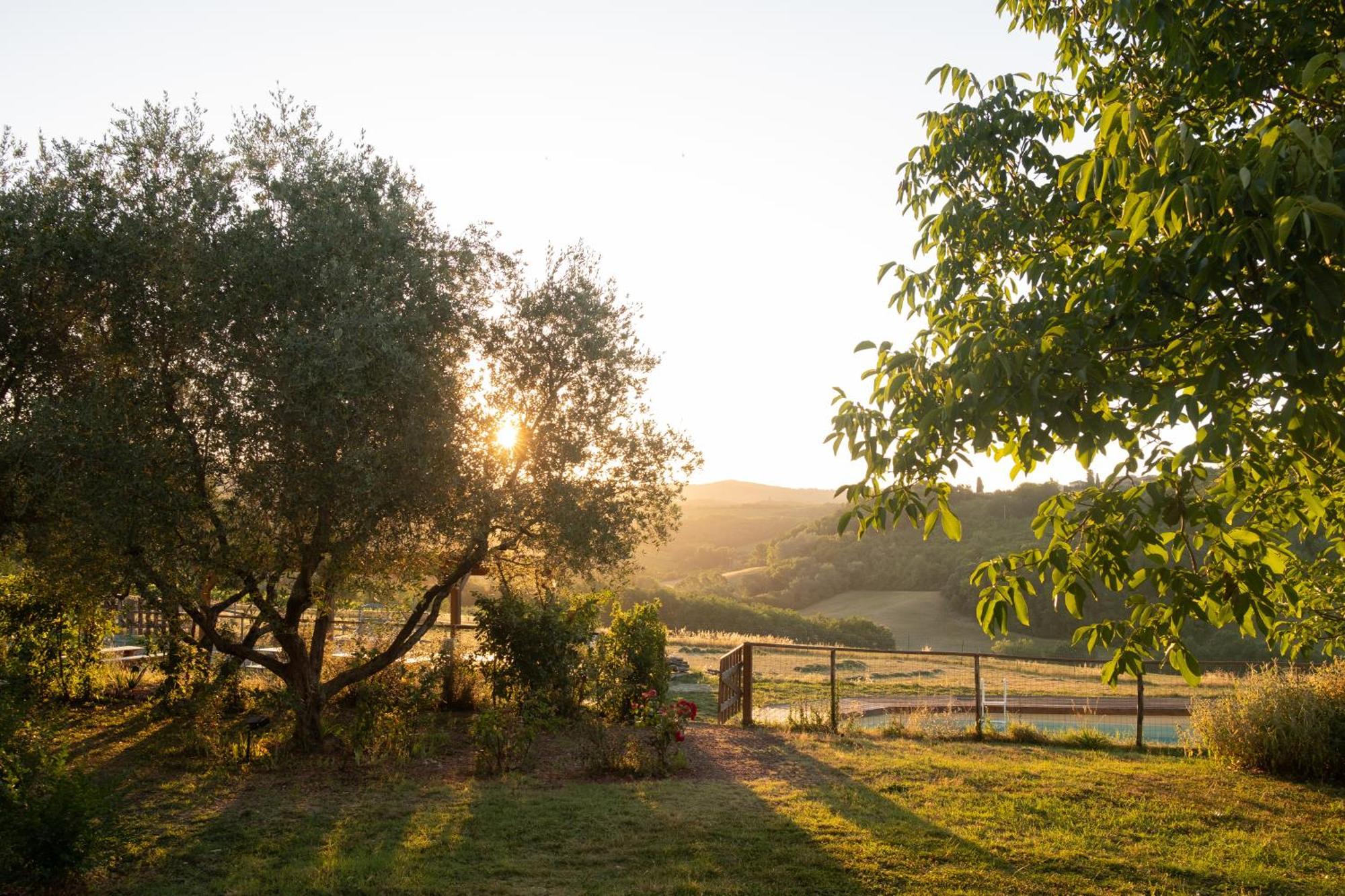 Agriturismo Le Tre Pietre - Podere Nel Chianti Quercegrossa Ngoại thất bức ảnh