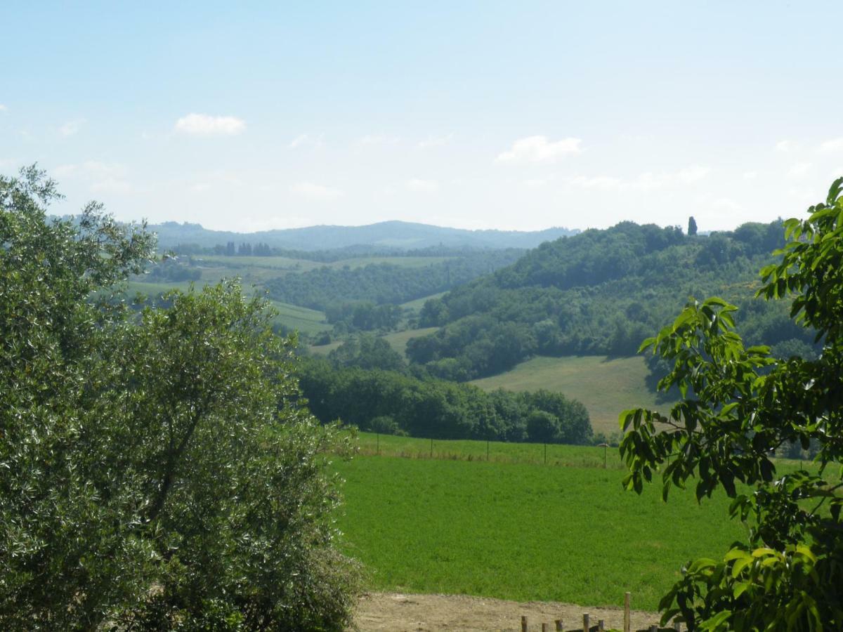 Agriturismo Le Tre Pietre - Podere Nel Chianti Quercegrossa Ngoại thất bức ảnh