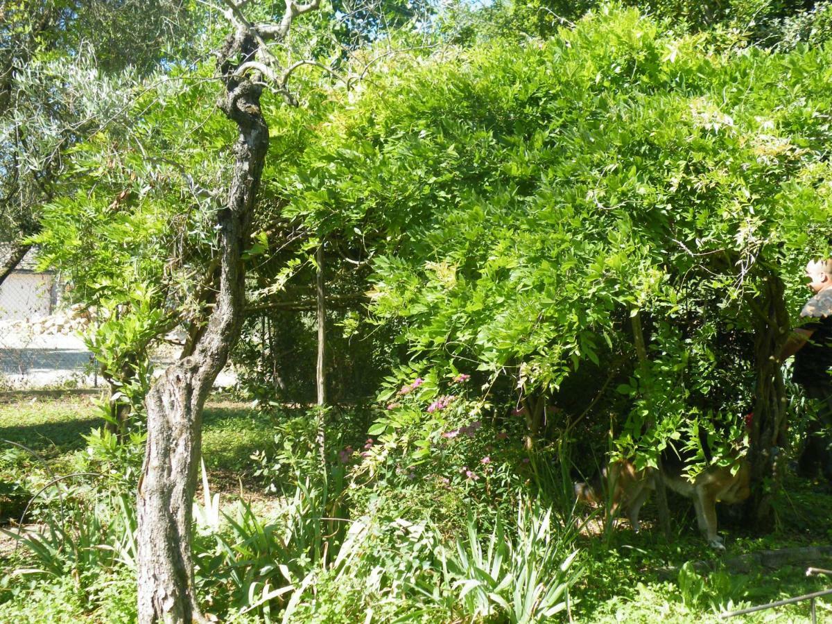 Agriturismo Le Tre Pietre - Podere Nel Chianti Quercegrossa Ngoại thất bức ảnh